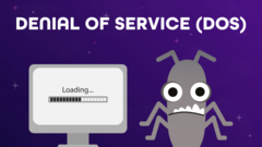 Denial of Service (DoS) image