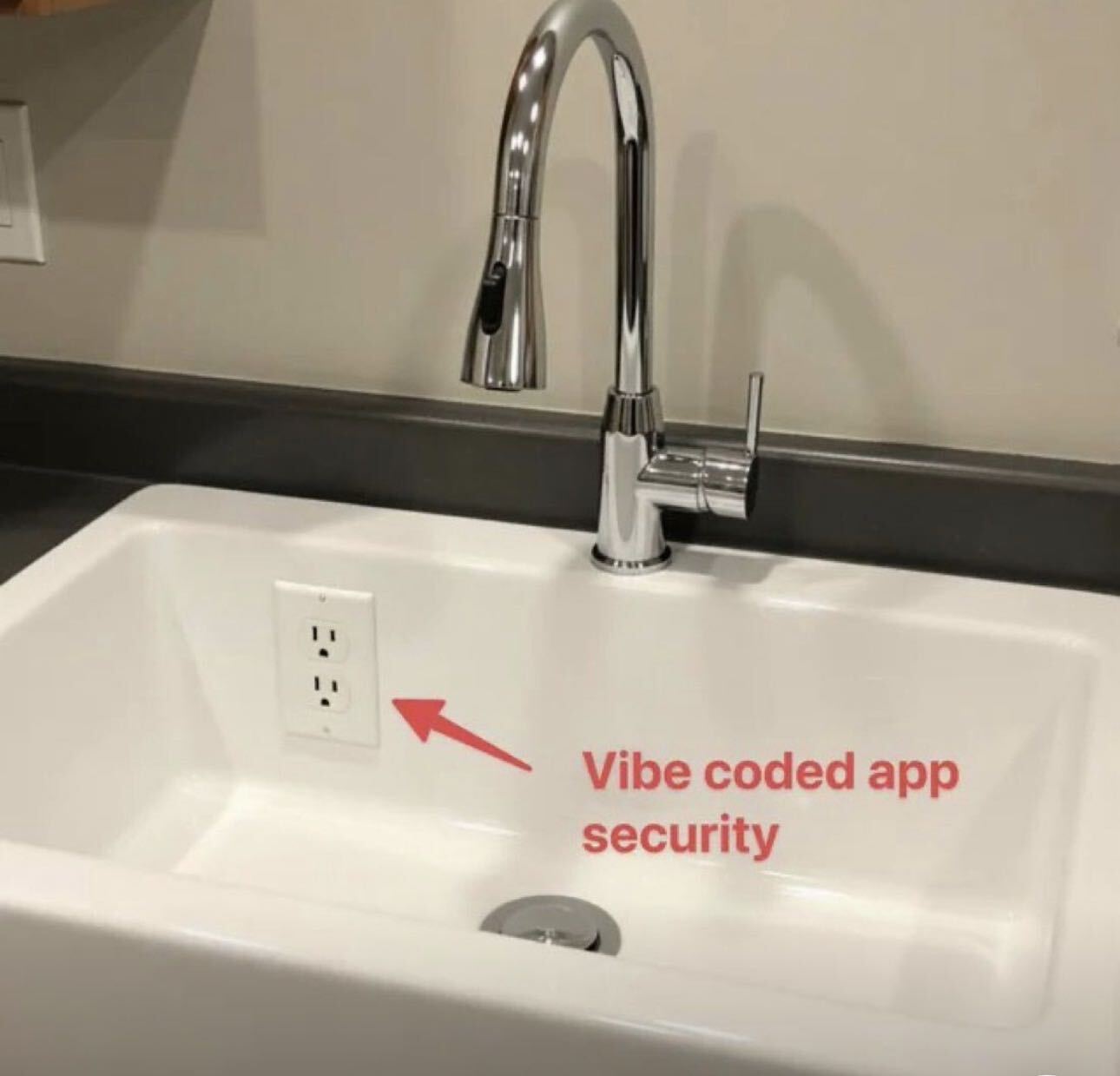 A meme showing a silver gooseneck kitchen faucet over a white basin sink. Shockingly, a standard North American elect... image