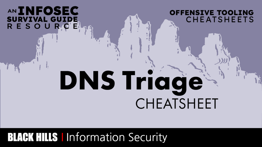 DNS Triage Cheatsheet image
