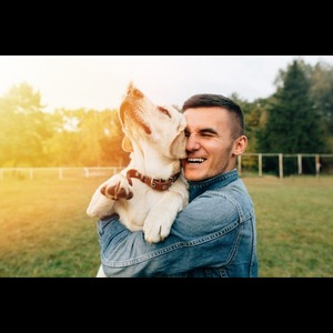 Rolo Maughan profile image