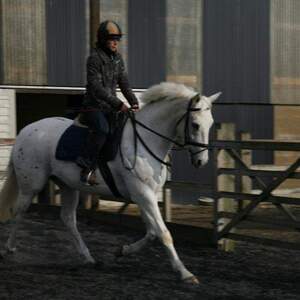 Megan Ozanne profile image