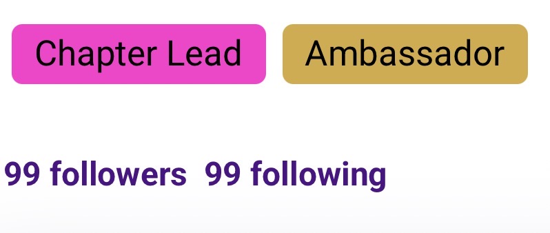 Followers and following both show 99 under the Chapter lead and ambassador labels on Ady Stokes profile page  image