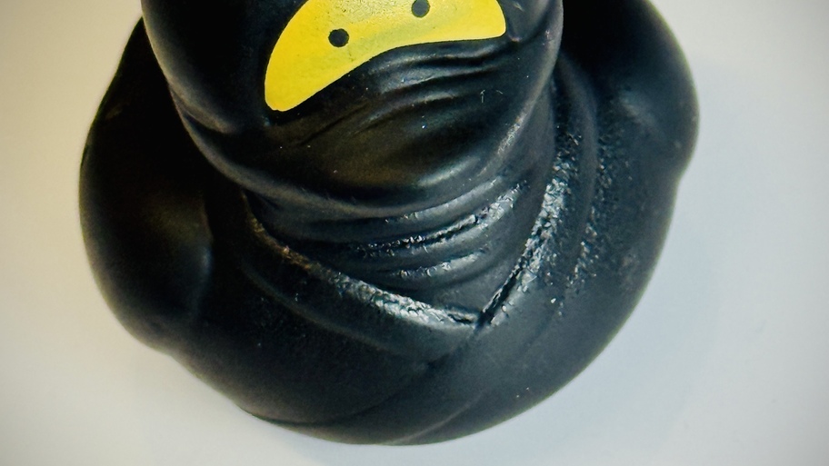 Ninja duck image