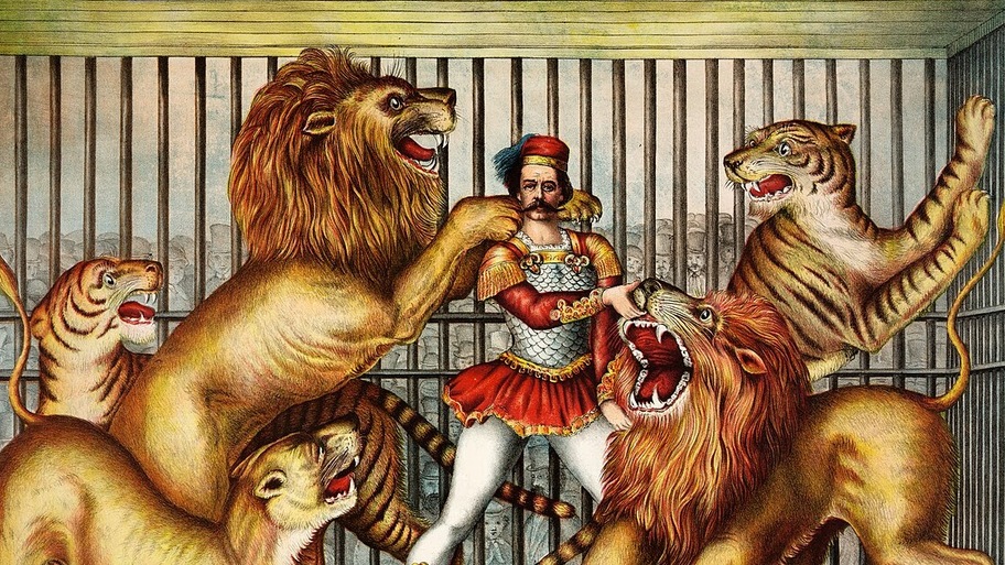 On Herding Cats image