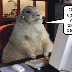 Jessica Zager profile image