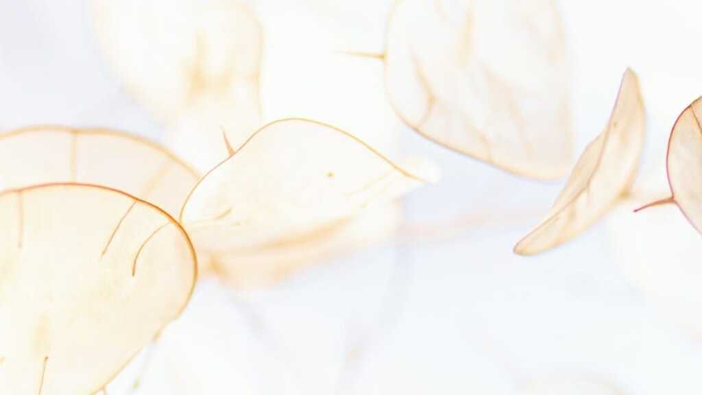 Ephemeral Tooling image