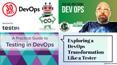 The Community's Guide to DevOps and Software Testing image