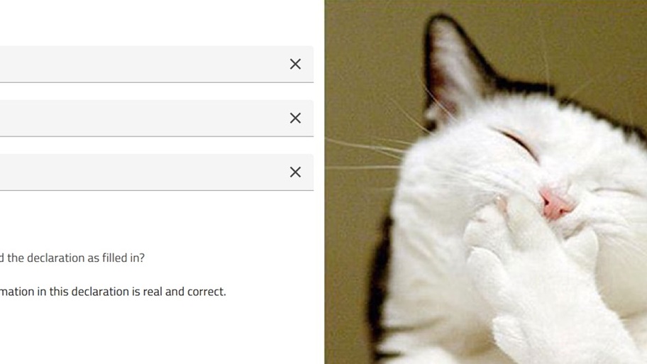 Everytime I have to confirm the information is real and correct when filling in testdata image