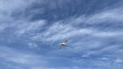 My Week In Testing image