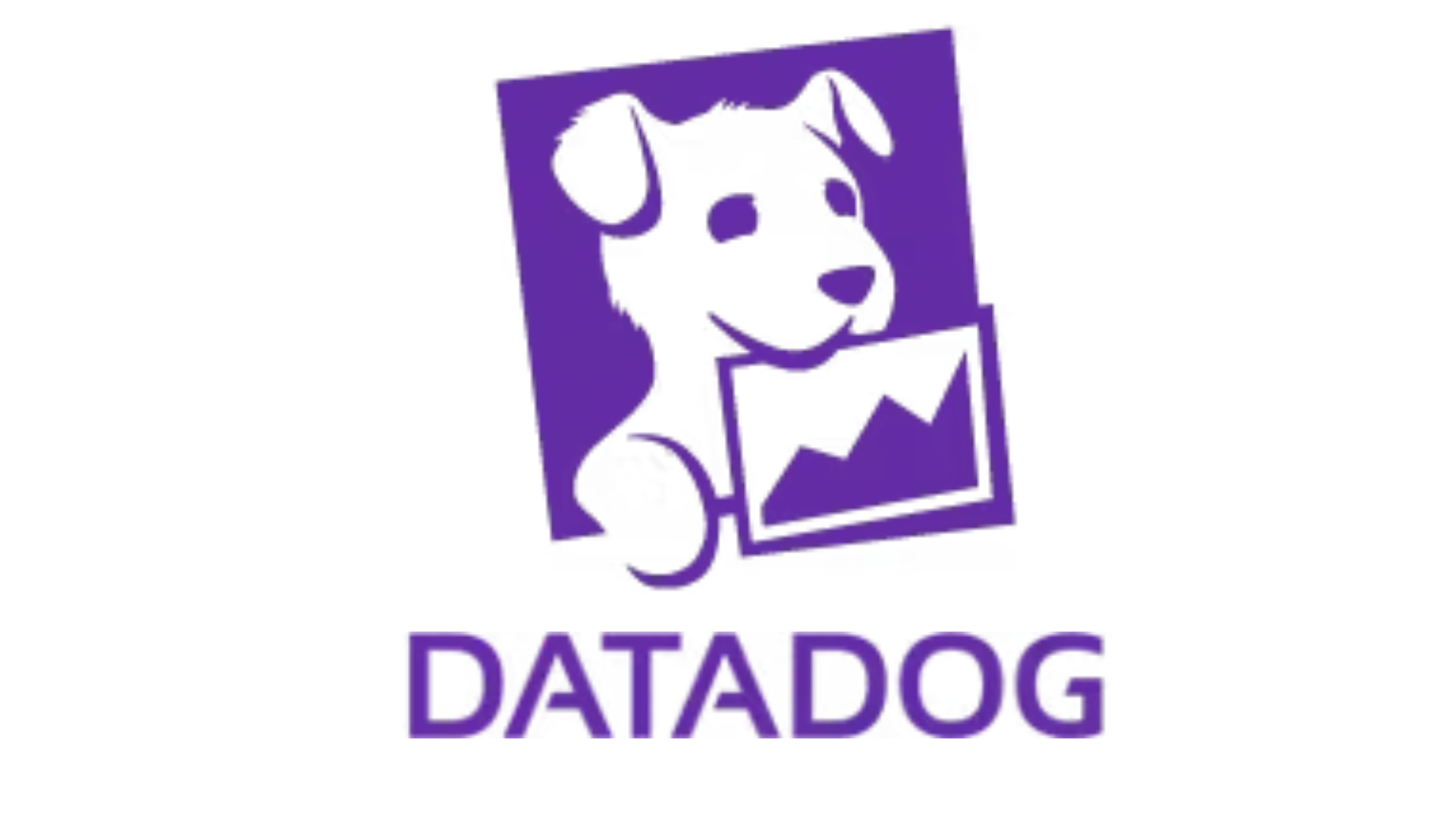 DataDog image