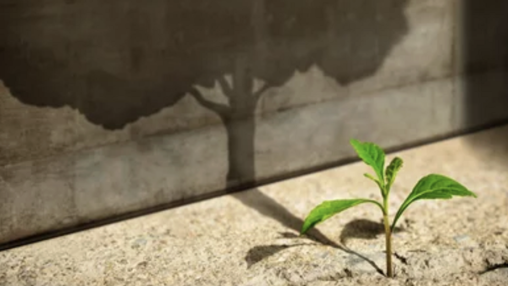 Impact-Driven Growth Framework  image