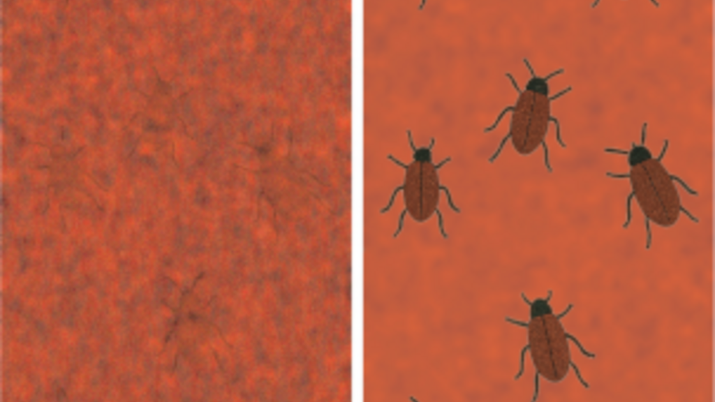 The Test Automation Crisis image