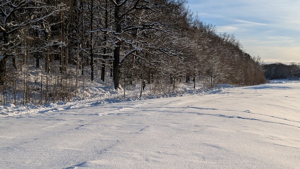 In Praise of –dry-run image image