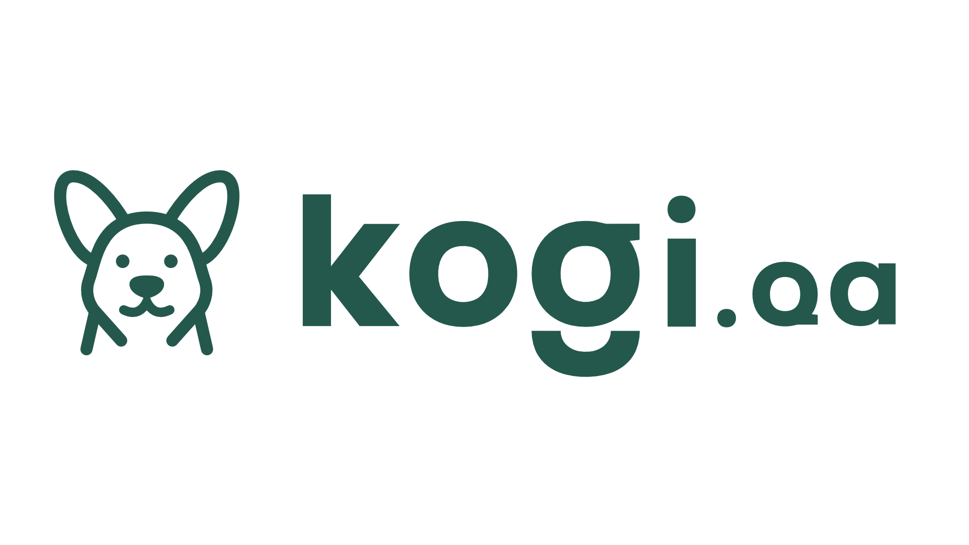 kogiQA image