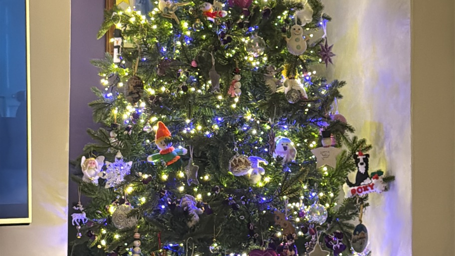 The Twelve Days of testing image