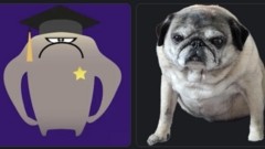 When you begin your STEC journey, but notice that one of the MOT creatures looks like your dog, Princess.  image