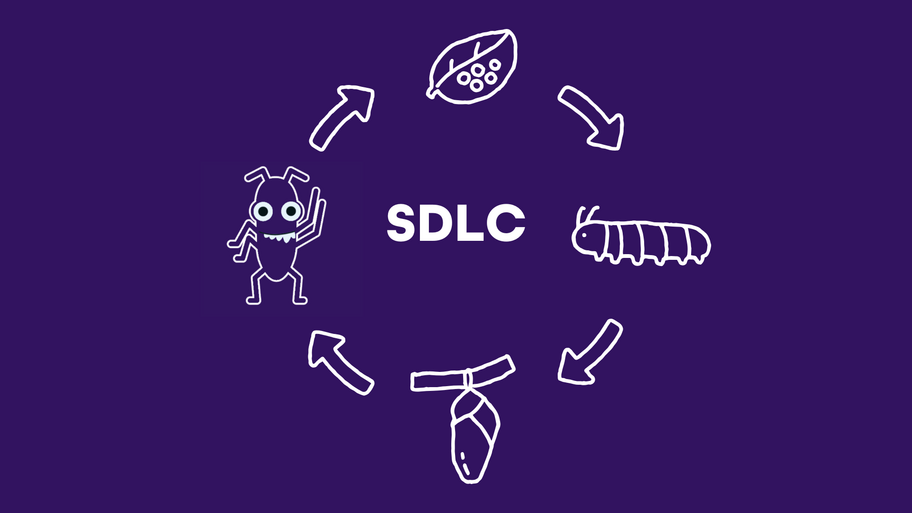 Software Development Life Cycle | SDLC image