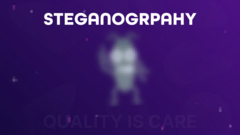 Steganography image