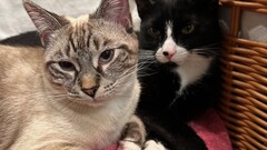 This is cool to read the more specific parts of what happens in our roles. I hope you get the 3 things done! image