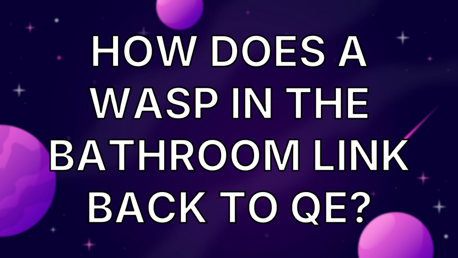 How does a wasp in the bathroom link back to QE? image