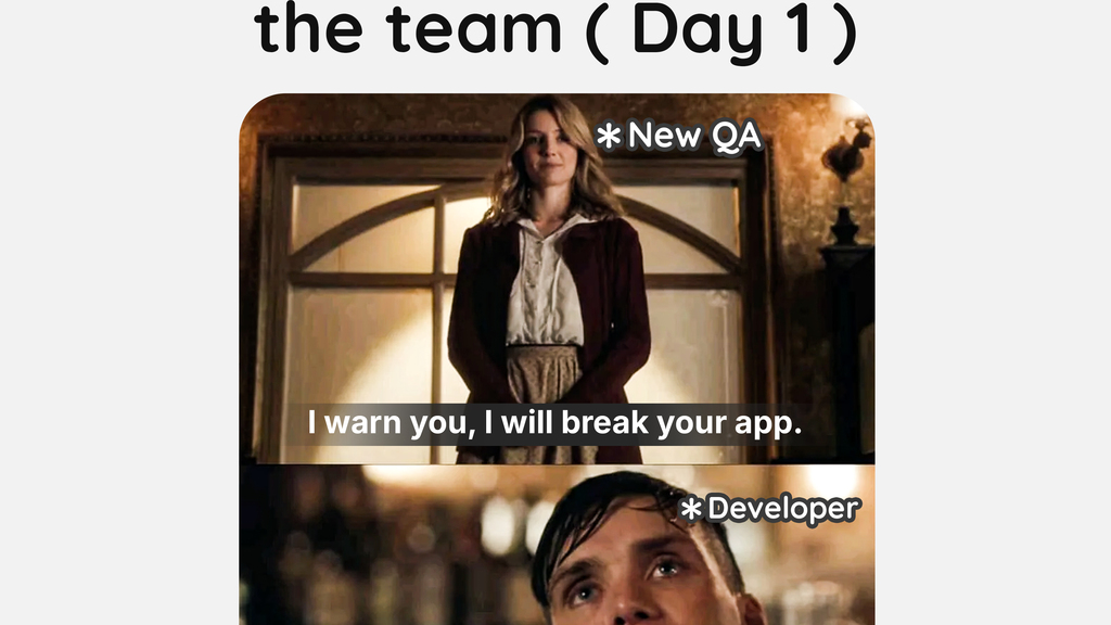 qa and developer