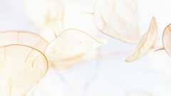 Ephemeral Tooling image