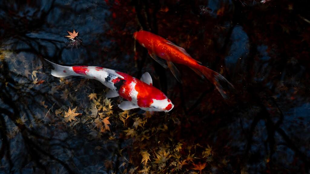 On Thinking Your Own Thoughts image