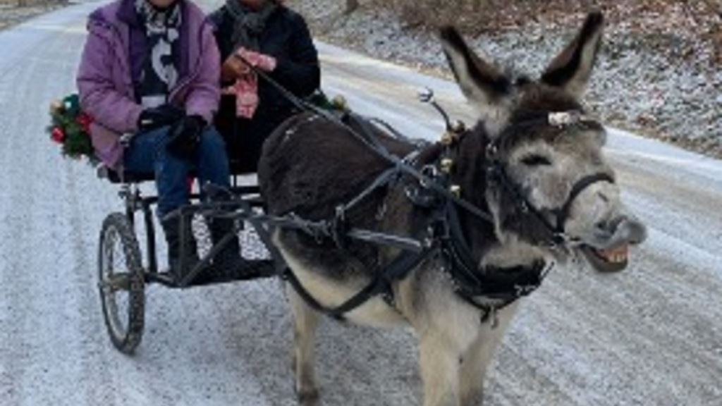 A big finish for 2025 - sharing some watching, reading & listening image