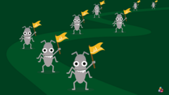 An intentional community investment to explore and expand how to lead with quality image