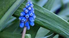 Coaching tools for testers image