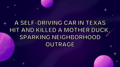 A self-driving car in Texas hit and killed a mother duck, sparking neighborhood outrage image