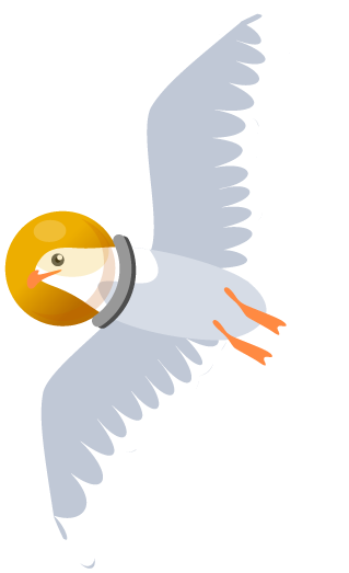 mot space seagull for illustration purposes image