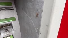 Very cool you got to meet my friend. image