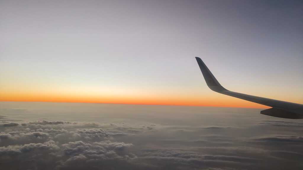 My 2025 and 2026 in a nutshell image