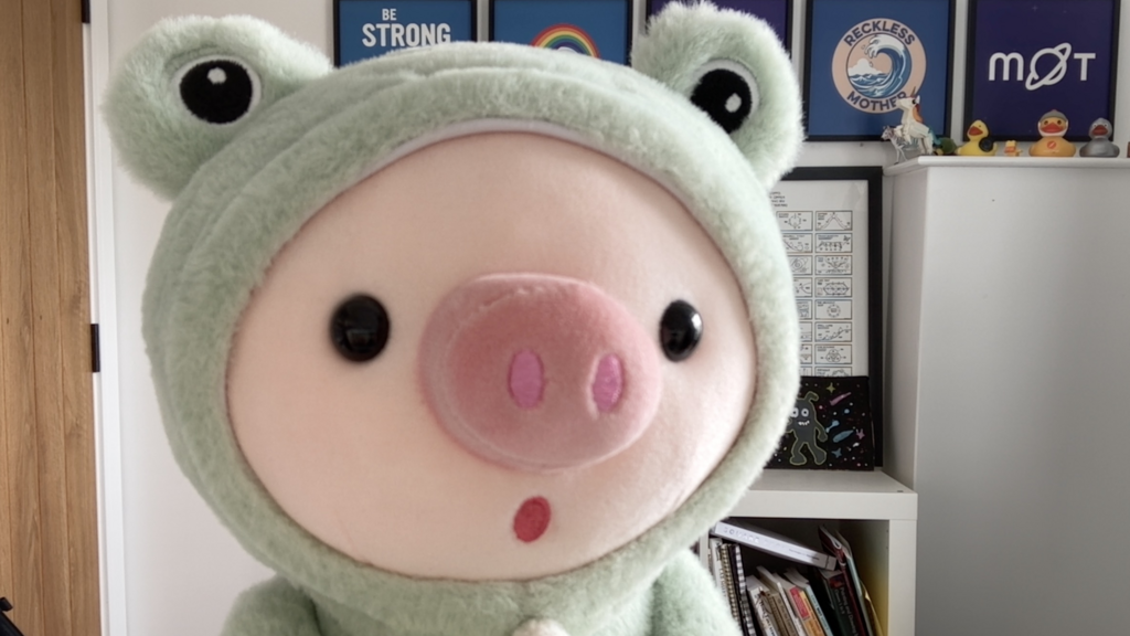 Photo of Frig stuffed toyed, a pig dressed up as a frog. image