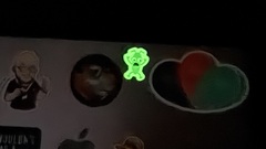 I'd forgotten one of the bugs glowed in the dark image