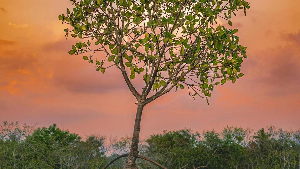 Out There Beyond The Wall image