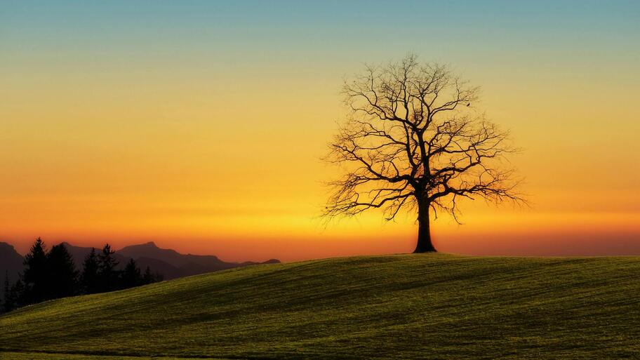 When There's Nobody There image