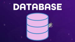 Database image