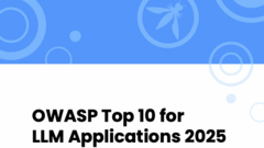 2025 Top 10 Risk &amp; Mitigations for LLMs and Gen AI Apps image