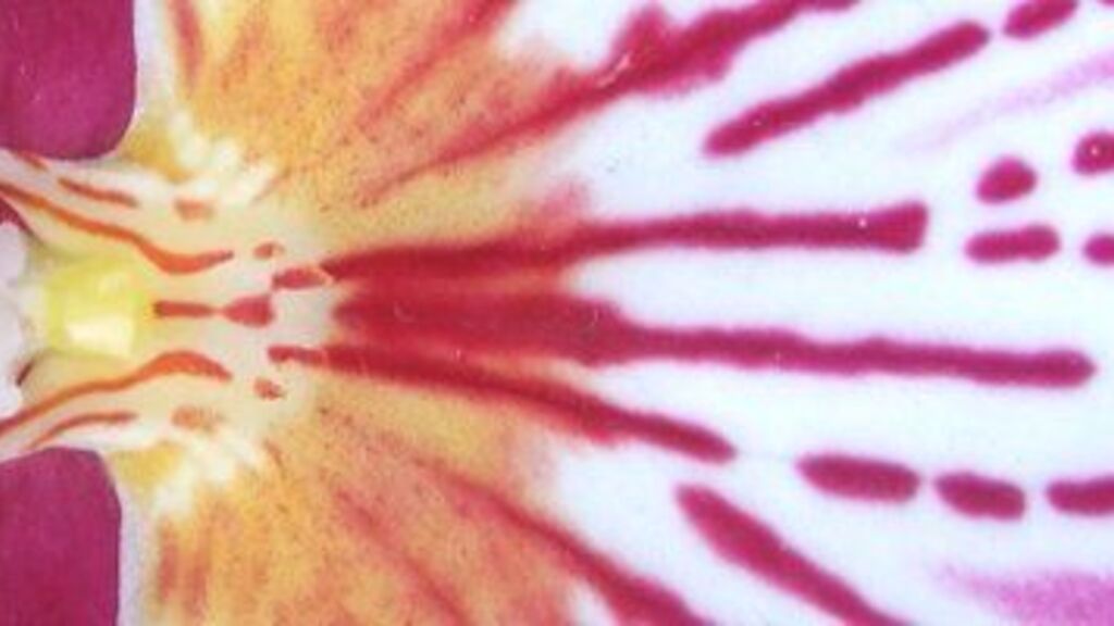 No Workroom PlayTime this week (16 April) image image