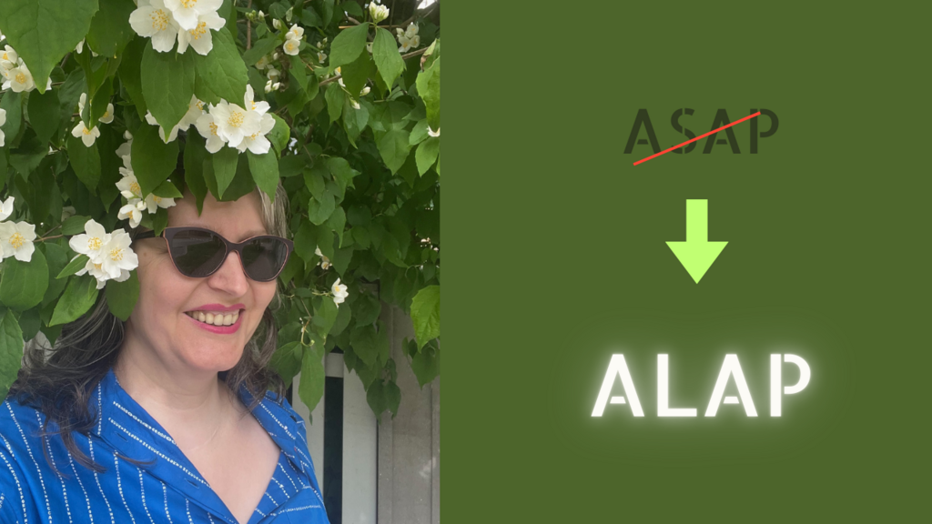 Introducing the ALAP Methodology for Sustainable Leadership image