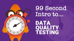 Learn about Data Quality in 99-Seconds image