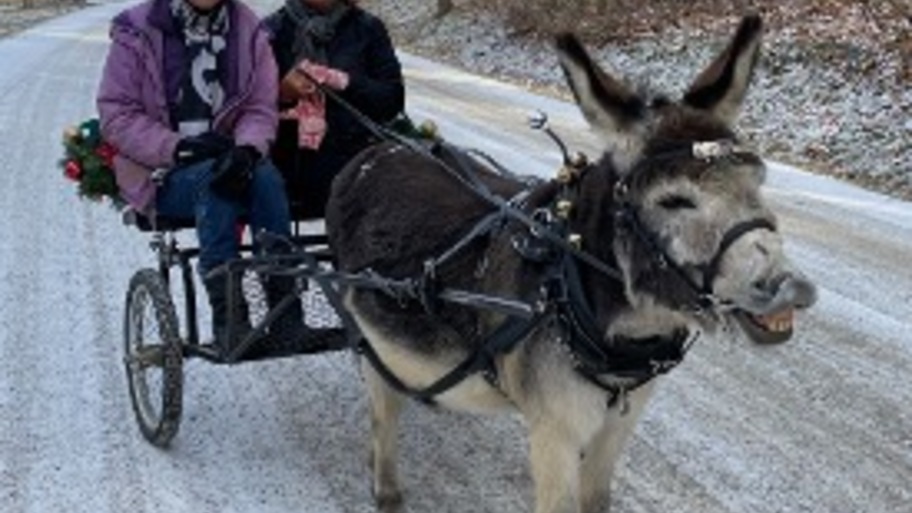 A big finish for 2025 - sharing some watching, reading & listening image