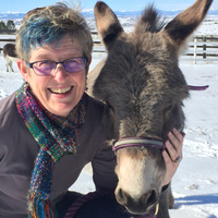 Lisa Crispin profile image