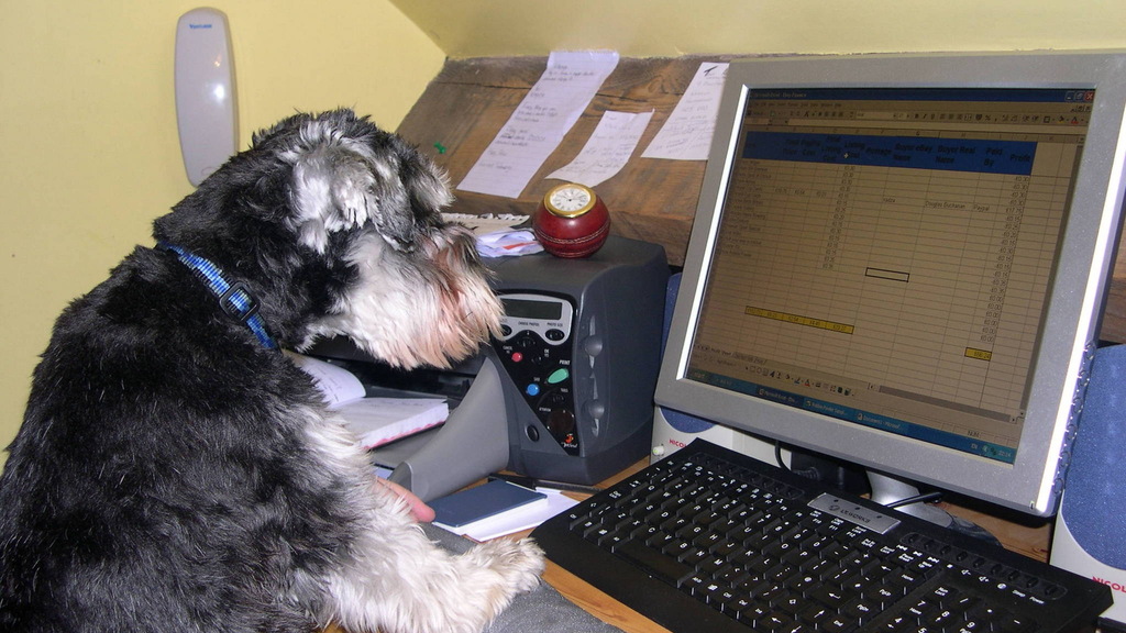 Max the intelligent  image