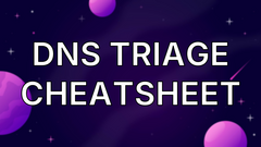 DNS Triage Cheatsheet image