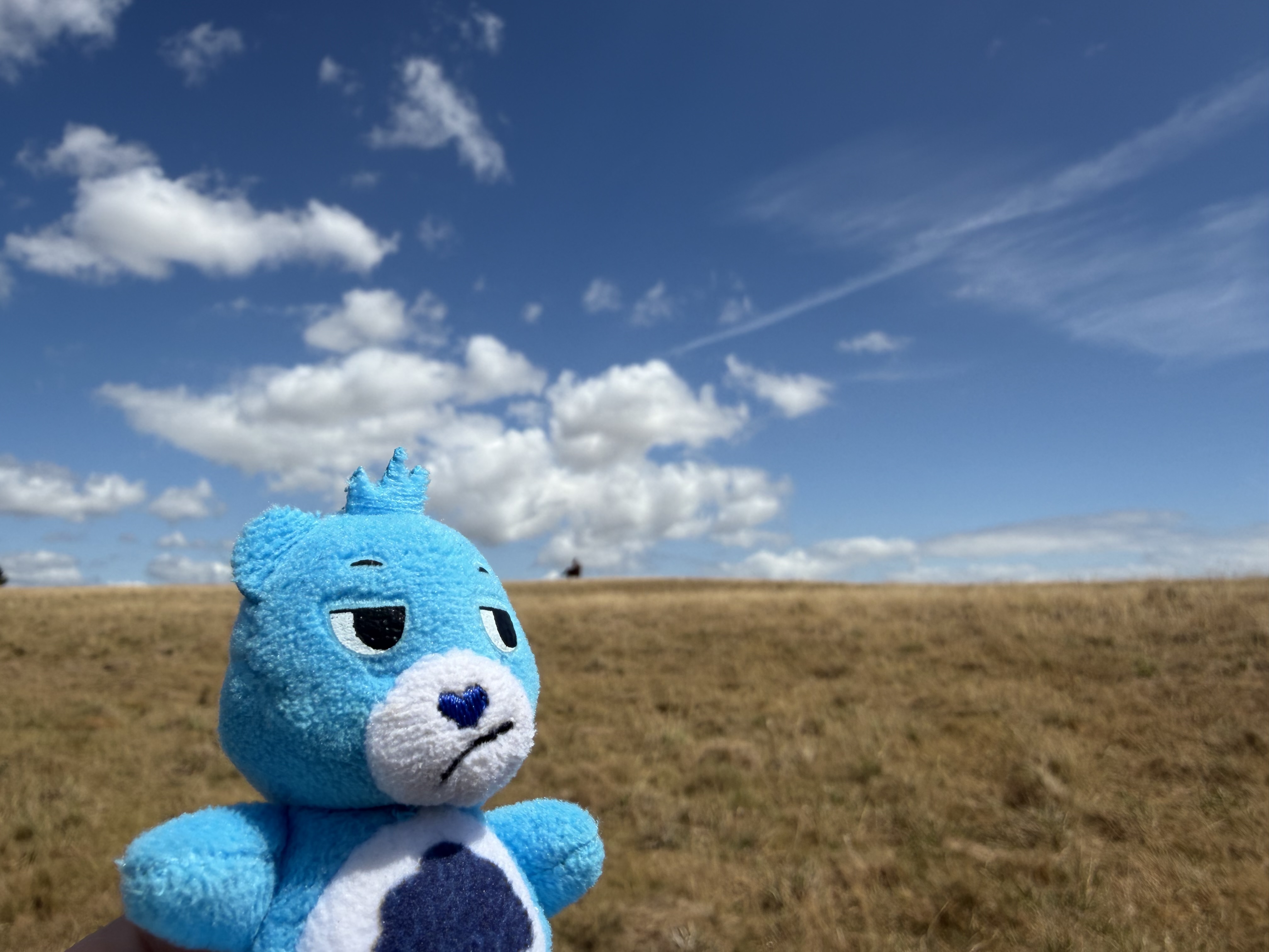 A selfie style photo of Grumps on a cloudy sunny blue skies, on a dry field and a person riding a horse. image