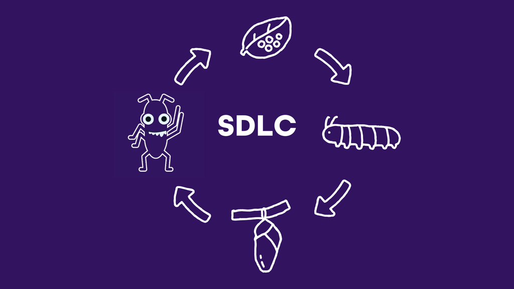 Software Development Life Cycle | SDLC image