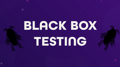 Black box testing image